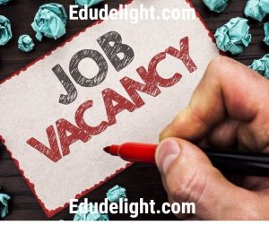 JOB Vacancies edudelight