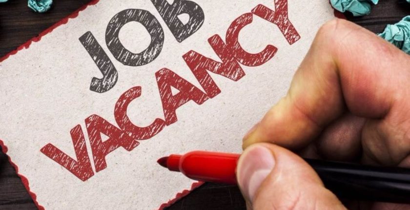 JOB Vacancies edudelight